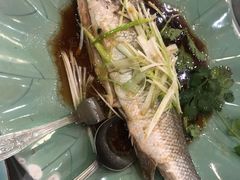 -金煌大酒楼