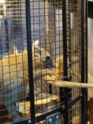 -酷嗒动物文化乐园(cutezoo西溪乐天城店)