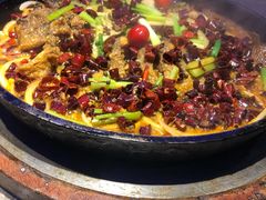 -老板恋上鱼(恒隆广场店)