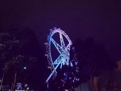 -墨尔本之星 观景摩天轮