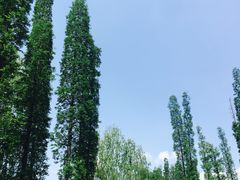 -秀丽东方