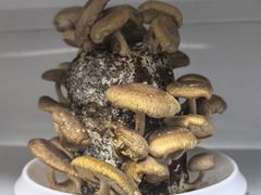-番食园鲜食火锅(高新店)