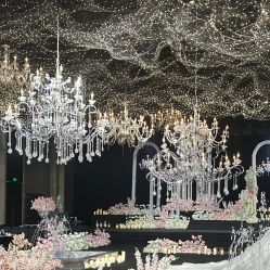 -成都新希望高新皇冠假日酒店-宴会厅·会议活动·户外场地