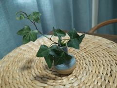 -云境生态园(红谷滩店)