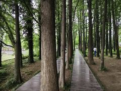 -采石矶景区
