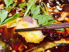 花鲢全鱼-蛙一刀·麻椒鱼火锅(金仙桥店)