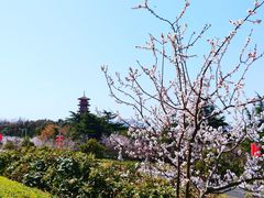 -云龙湖旅游景区