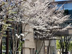 -杭州城中香格里拉大酒店