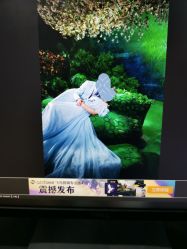 -金海岸婚纱摄影(塘沽店)