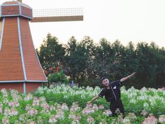 -金卉庄园