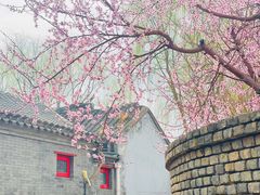 -三里河公园
