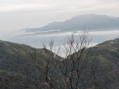 -姑婆山旅游区