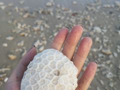 -白沙湾海滩