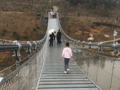 -东莞植物园