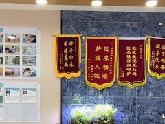 -瑞派名望24h动物医院异宠专科·猫专科·骨科·重症监护分院