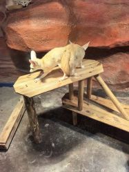 -Zoolung Zoolung动物主题公园(海信广场店)