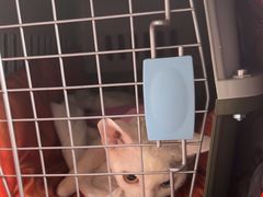 -美联众合动物医院·24h京西诊疗中心