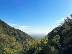 -韬光茶庵