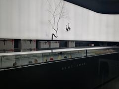 -BLACKSWAN黑天鹅(环球店)