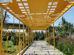-西湖公园(鼓楼区)