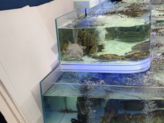 -盒马X会员店(上海森兰商都店)