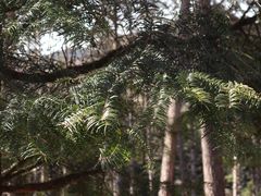 -硗碛藏寨·神木垒景区