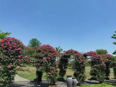 -广富林郊野公园