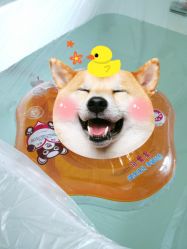 -国际月月生母婴月子中心(旗舰店)