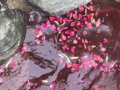 -华山御温泉度假村