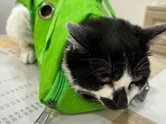 -荔康动物医院(康王北路店)