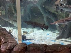 -多彩贵州城极地海洋世界