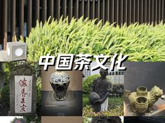 -泸州老窖景区
