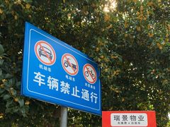 -金匮公园-南入口停车场