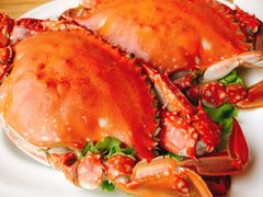 -小平岛開海水饺(浑南店)