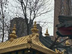 -护国法轮寺