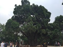 -狼牙山风景区