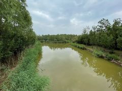 -塘沽森林公园