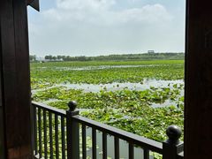 -天津东丽湖风景区