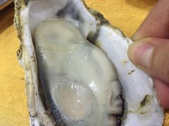 -蚝专家(北滘店)