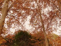 -河南省黄河迎宾馆