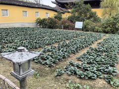 -重元寺香积厨素斋馆