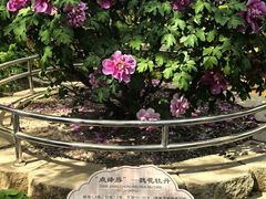 -太阳宫公园
