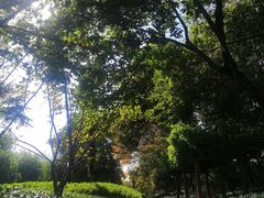 -祥源·阜阳生态乐园