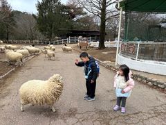 -神户市立六甲山牧场