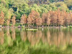 -重庆彩云湖湿地公园