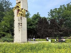 -北坞公园