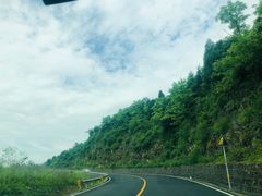 -武陵山森林公园