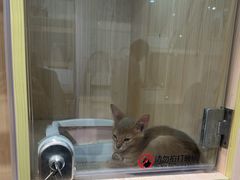 -爪爪喵星球·猫舍(卓悦中心店)