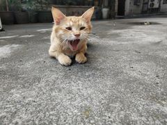 -金利茶餐厅(中船汇店)