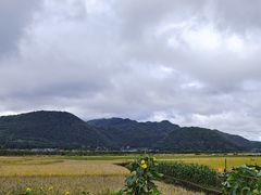 -和顺古镇